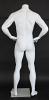 5 ft 7 in male headless mannequin, STM011WT