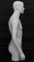 Matte White 3/4 Male Torso Mannequin MT5E-WT
