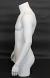 36 in H Male Torso Mannequin with arms MT2WT