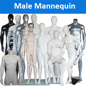 Male Mannequin